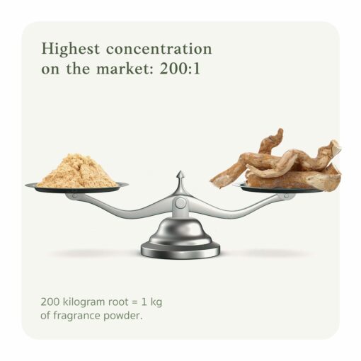 Met 200:1 bieden we de hoogste Tongkat Ali concentratie op de markt.